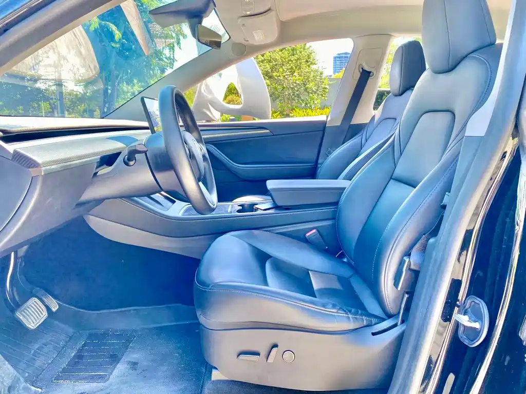Tesla Model Y — миниатюра 4