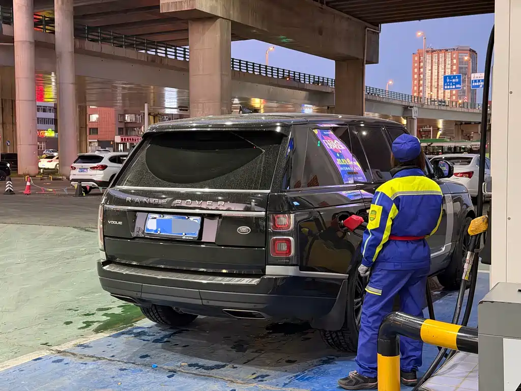 Land Rover Range Rover — миниатюра 10