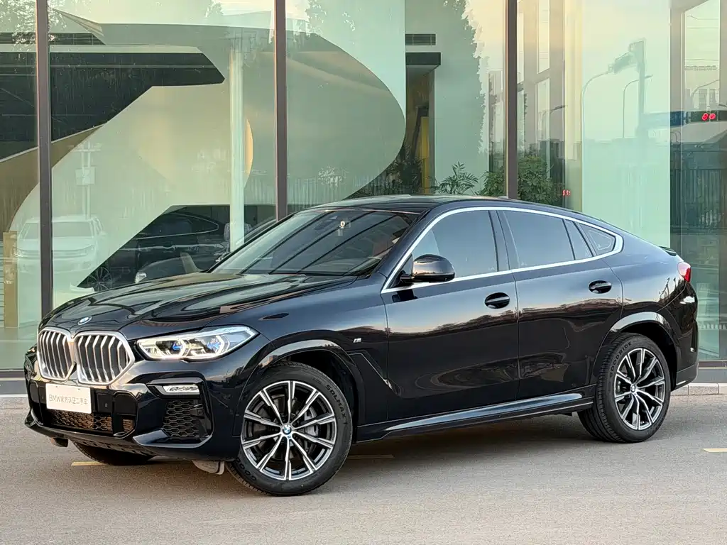 BMW X6 — миниатюра 2