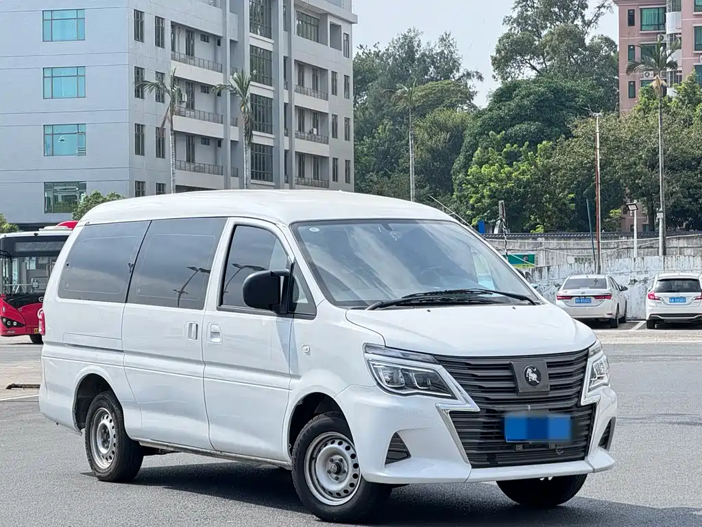 DONGFENG LINGZHI NEW ENERGY