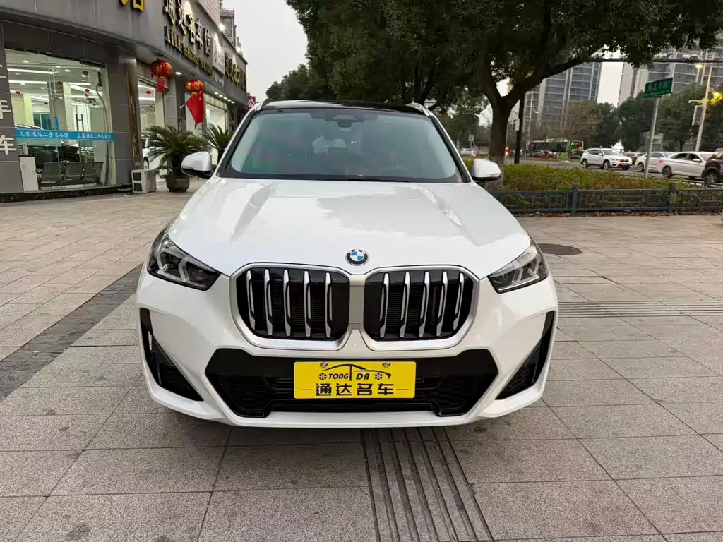 BMW X1 — миниатюра 2