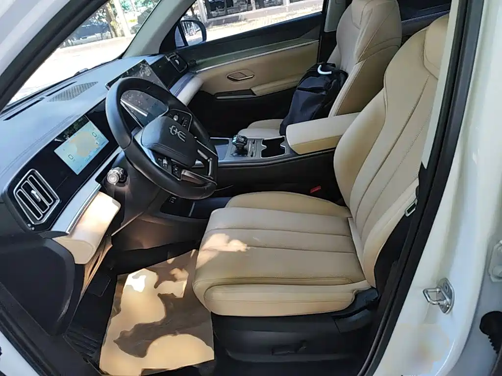 BYD Pro New Energy — миниатюра 15