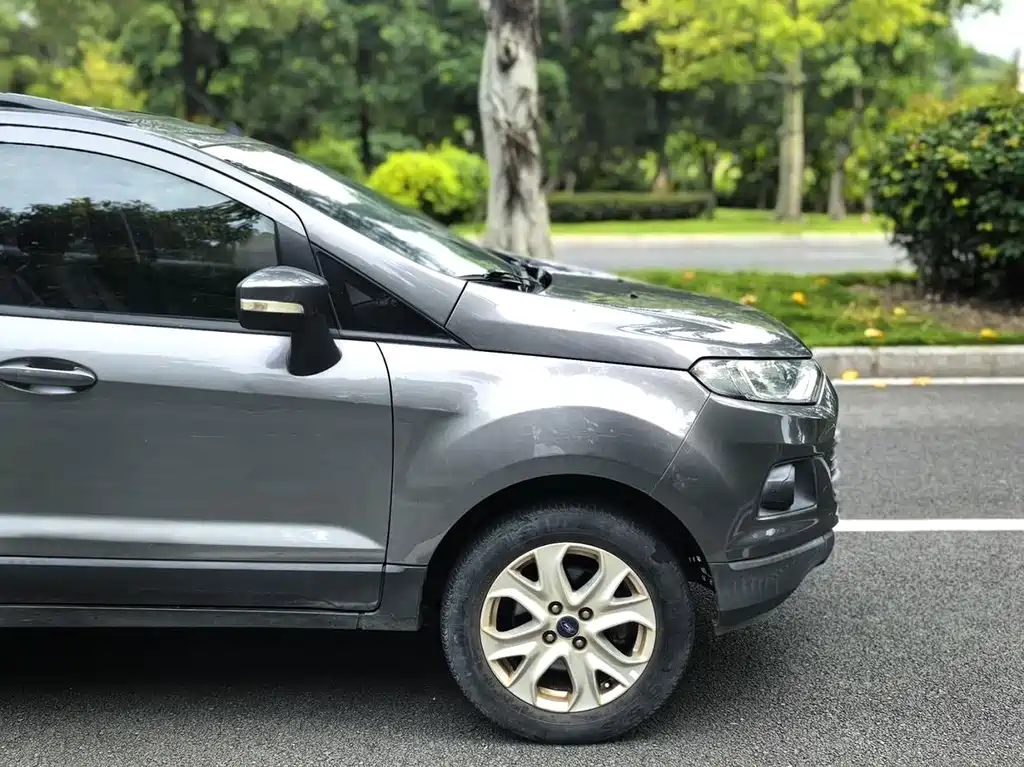 Ford Ecosport — миниатюра 22