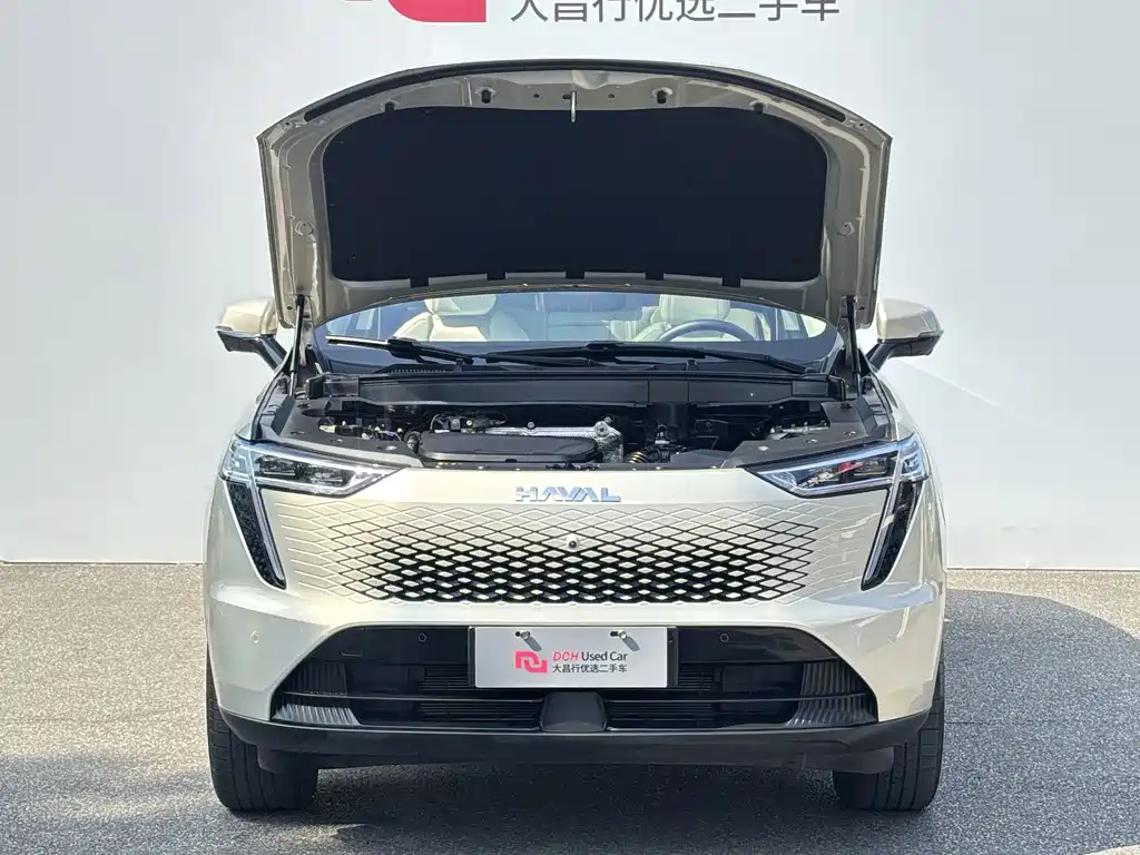Haval Xiaolong MAX — миниатюра 7