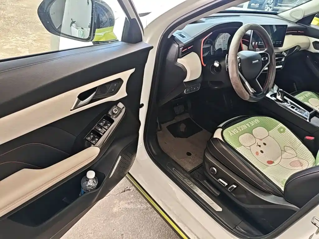 Haval Chitu — миниатюра 16