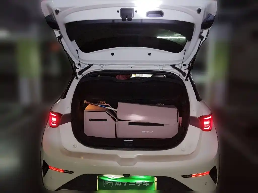 BYD Dolphin — миниатюра 10