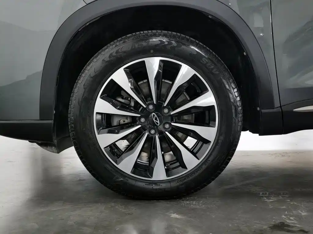 Chery Tiggo 8 PLUS — миниатюра 17