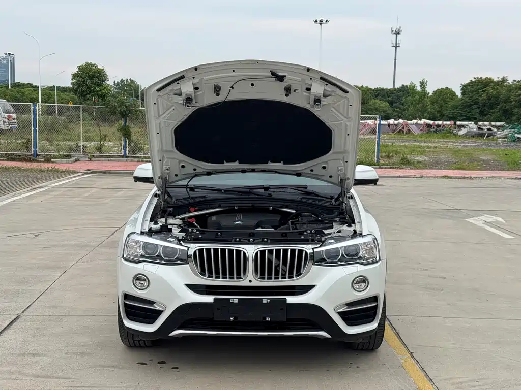 BMW X4 xDrive20i X Design Package, фото 8