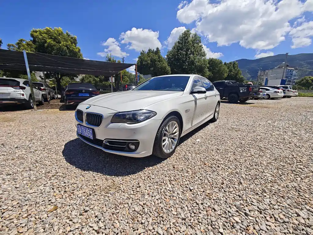 BMW 5 Series — миниатюра 2