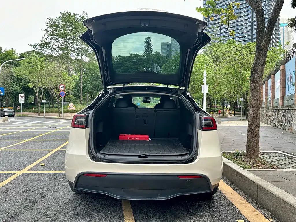 Tesla Model Y — миниатюра 17