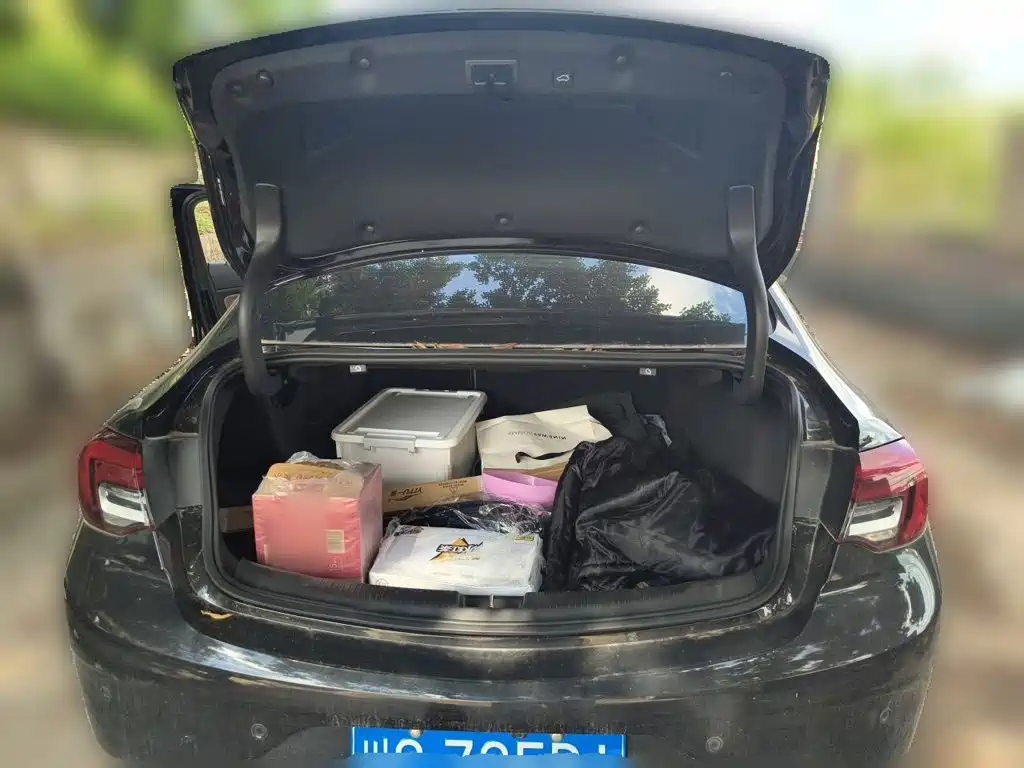 Buick Regal — миниатюра 10
