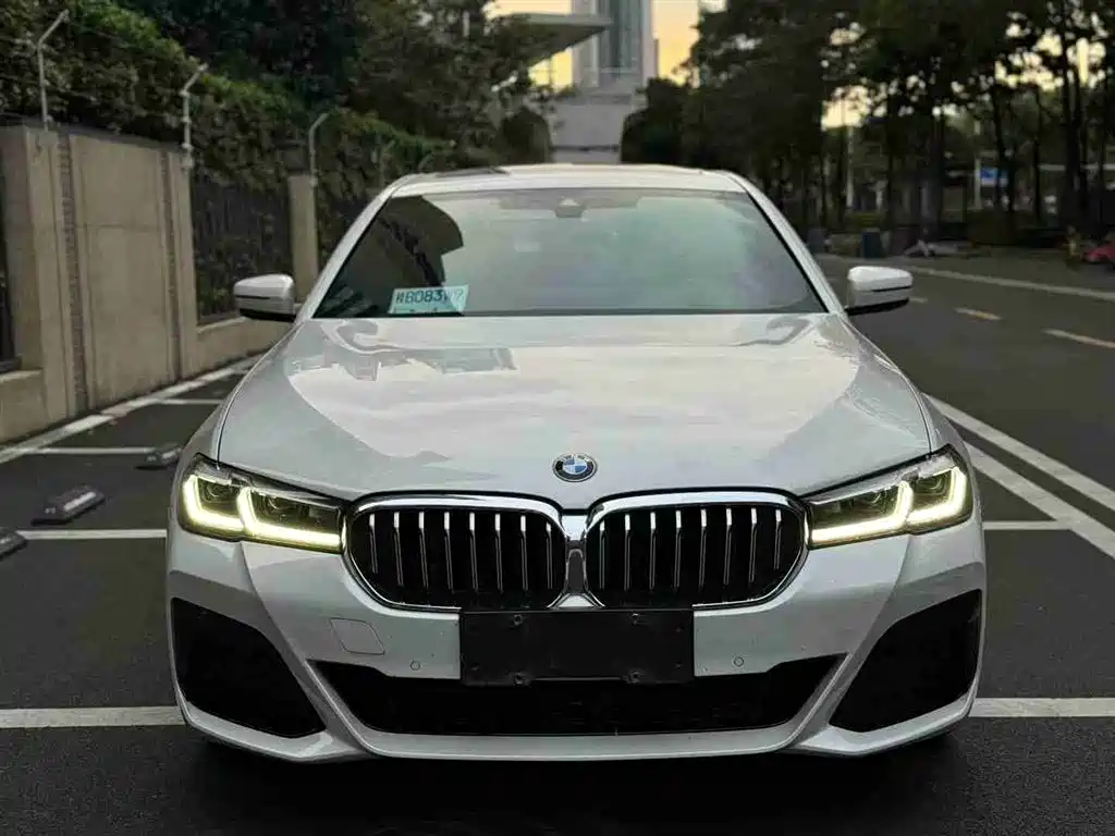 BMW 5 SERIES