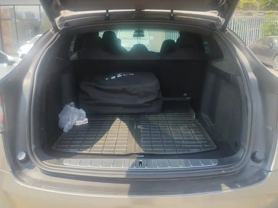 Tesla Model X — миниатюра 4