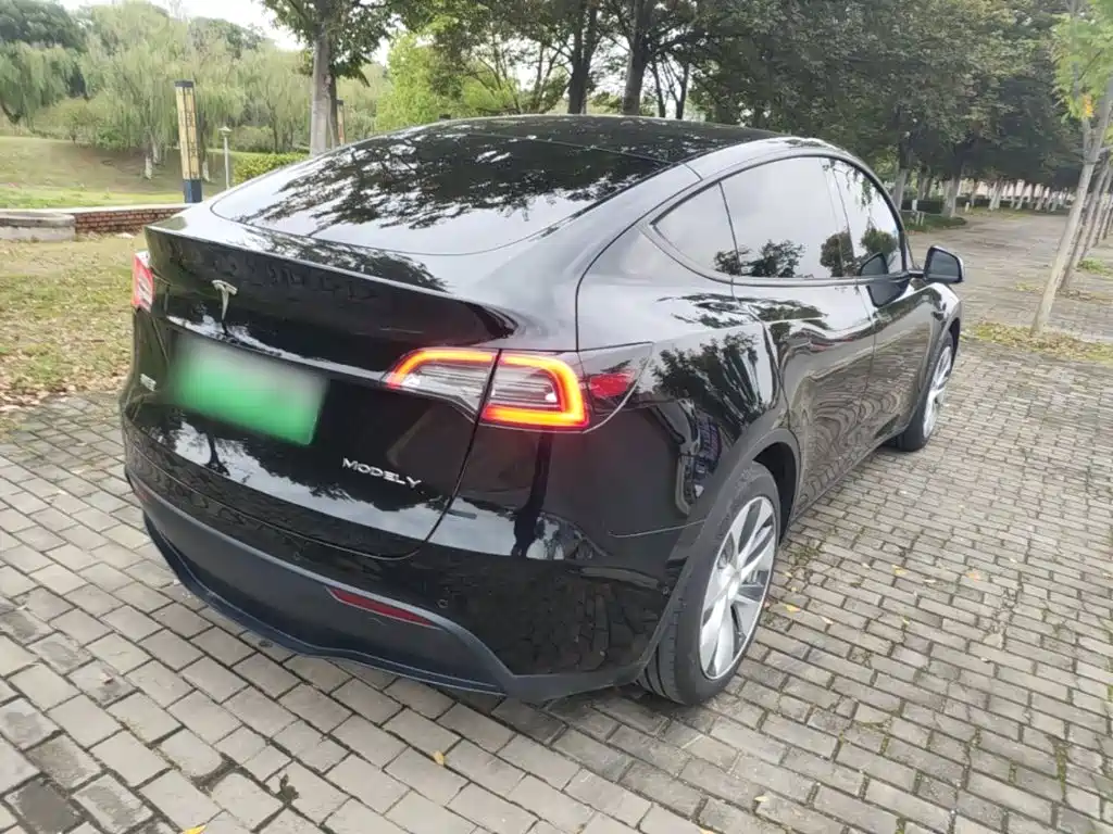 Tesla Model Y — миниатюра 7
