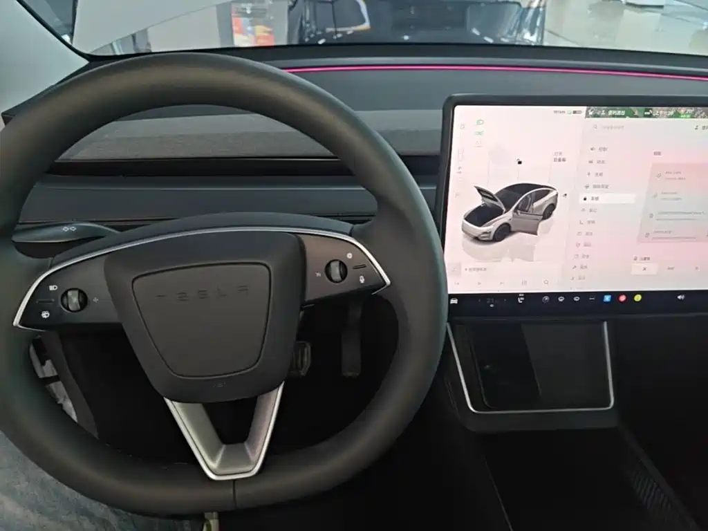 Tesla Model Y — миниатюра 10