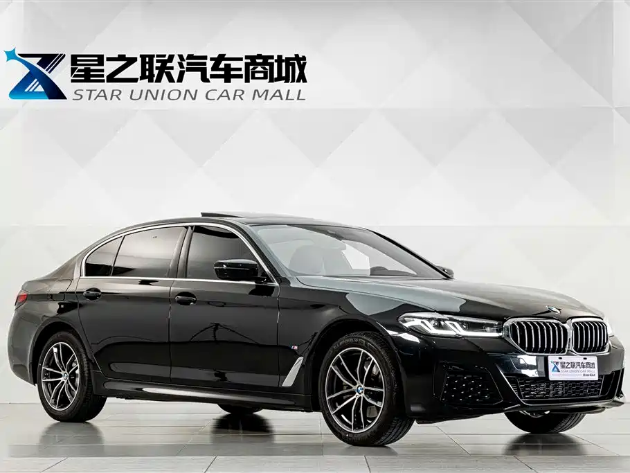 BMW 5 Series — миниатюра 5