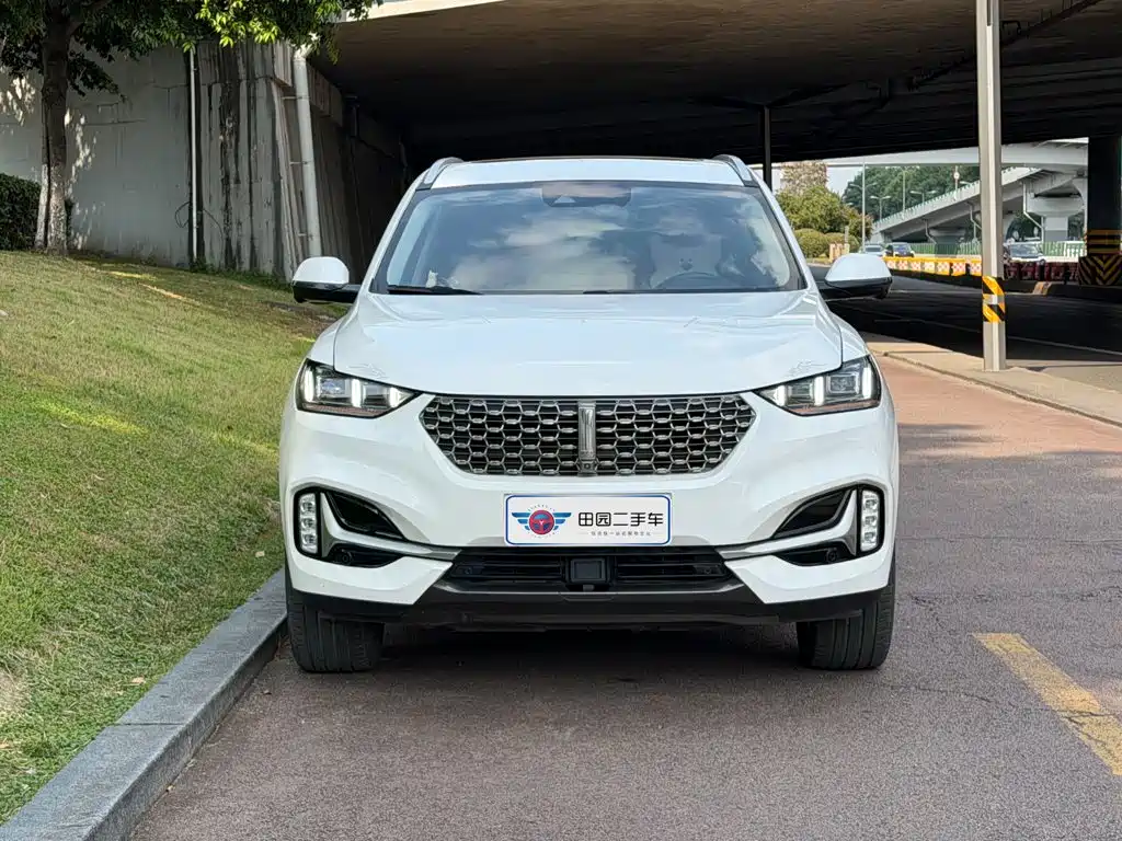 Wey Wey VV6 — миниатюра 2
