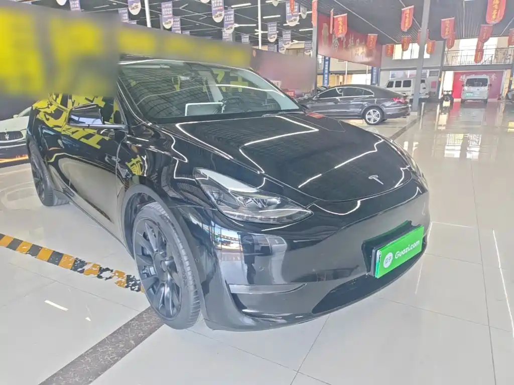 Tesla Model Y — миниатюра 4