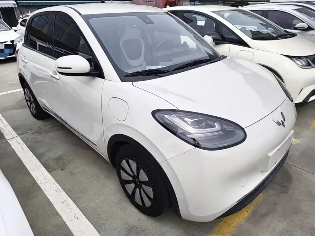 Wuling Binguo 2023 333km Enjoy +