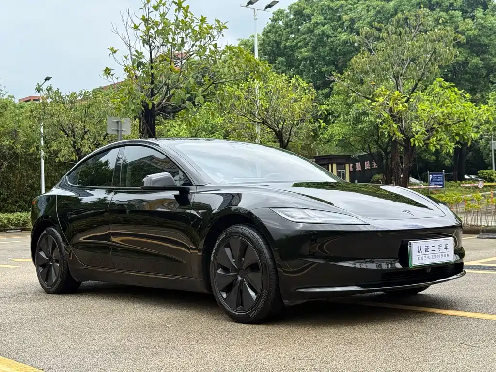 Tesla Model 3 — миниатюра 3