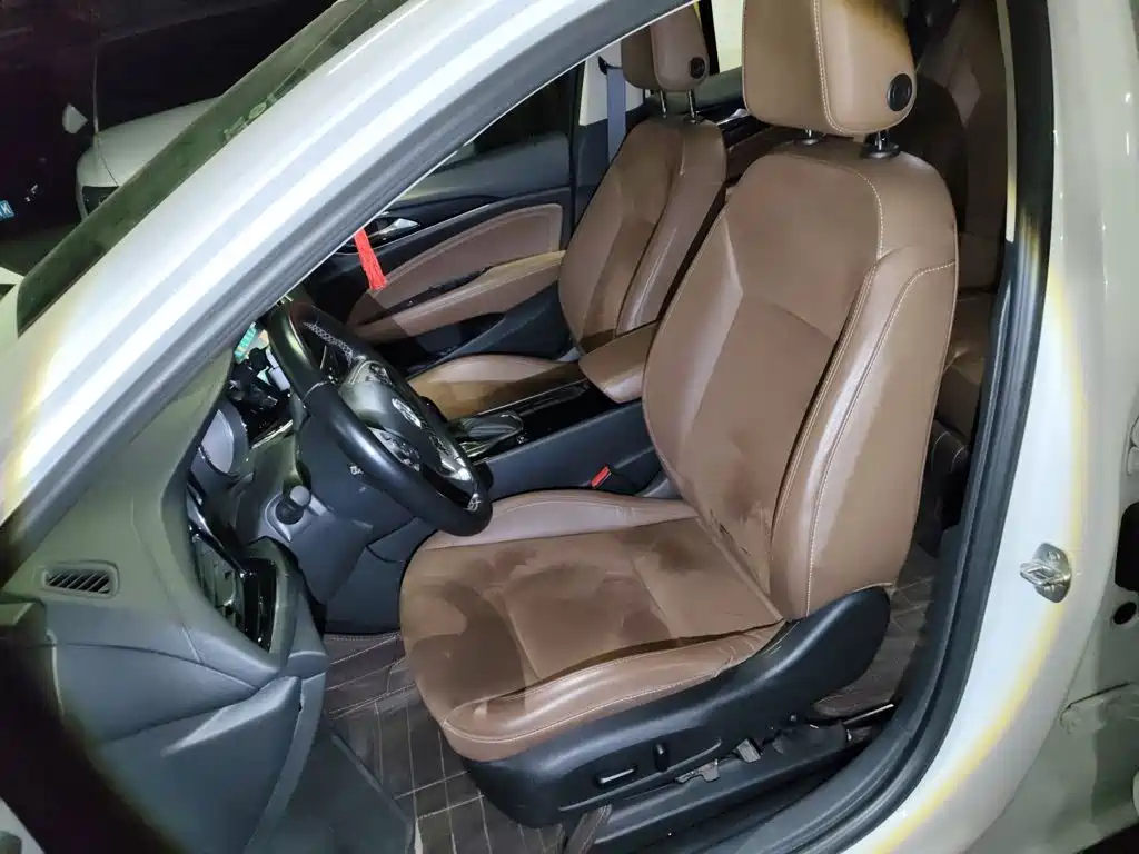 Buick Regal — миниатюра 12
