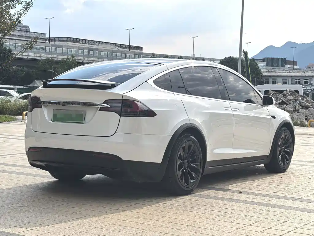 Tesla Model X — миниатюра 16