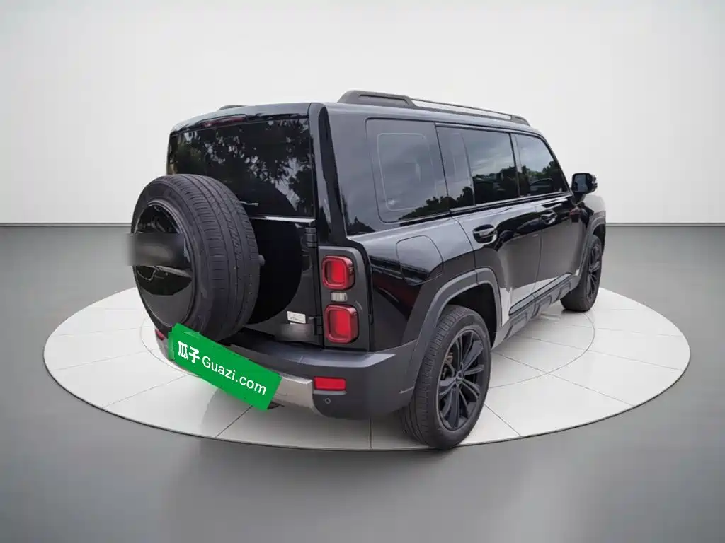 Haval Menglong New Energy — миниатюра 4