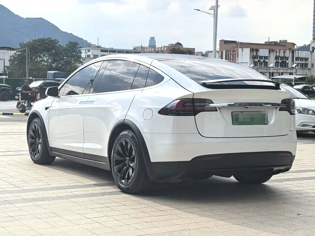 Tesla Model X — миниатюра 14