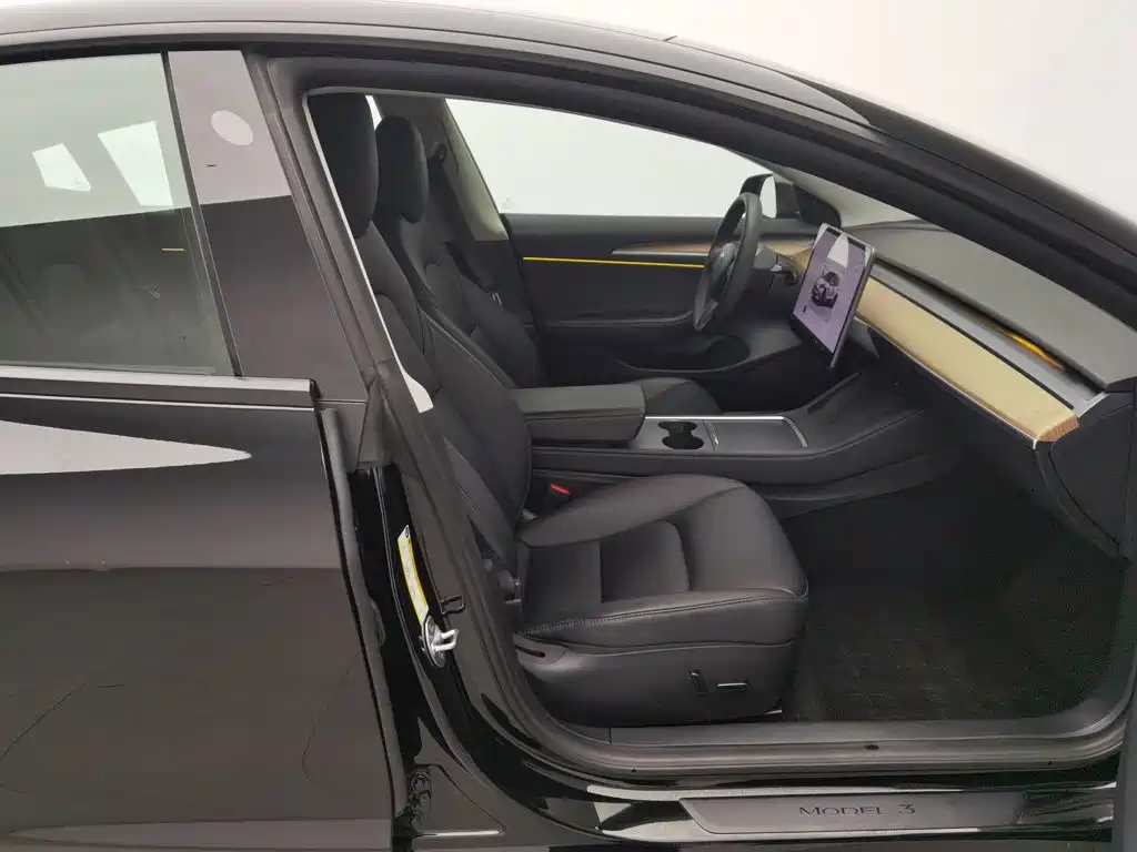 Tesla Model 3 — миниатюра 23
