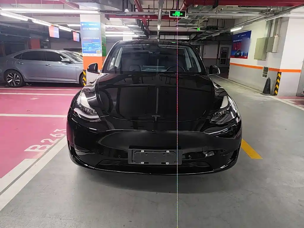 Tesla Model Y — миниатюра 3