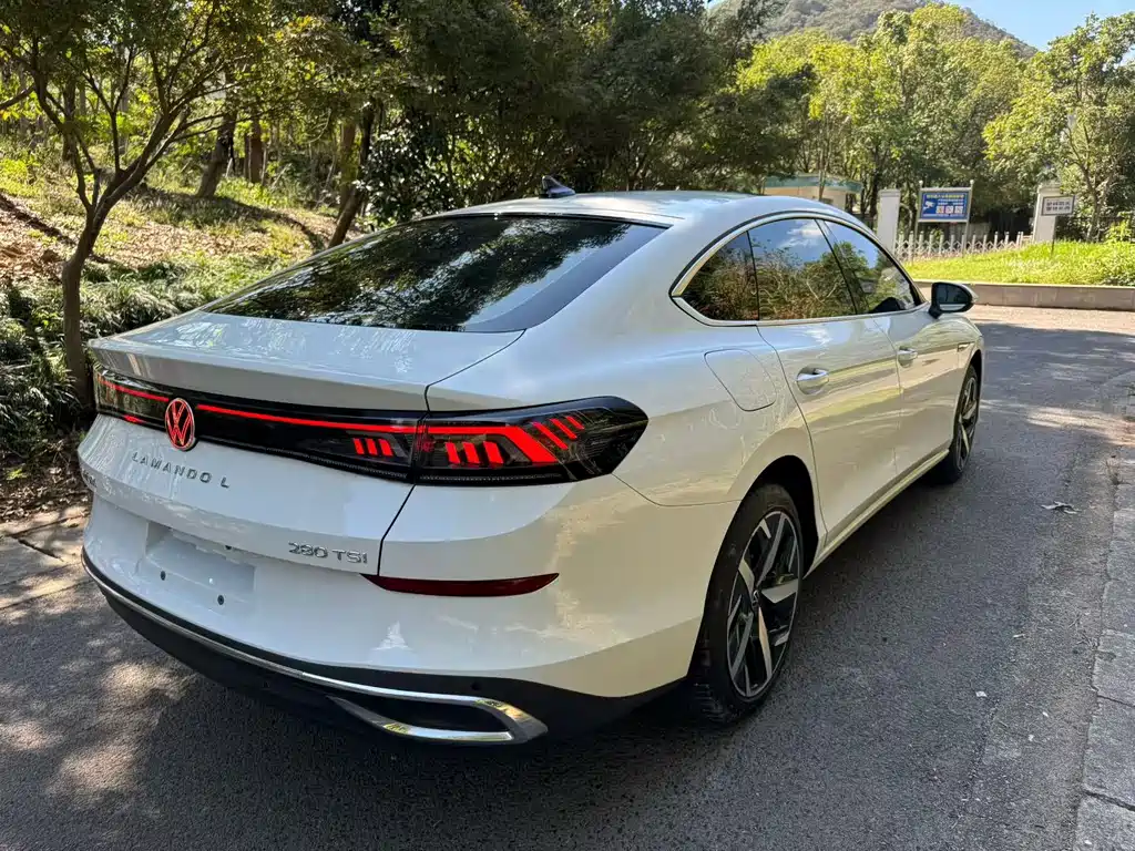 Volkswagen Lamando — миниатюра 9