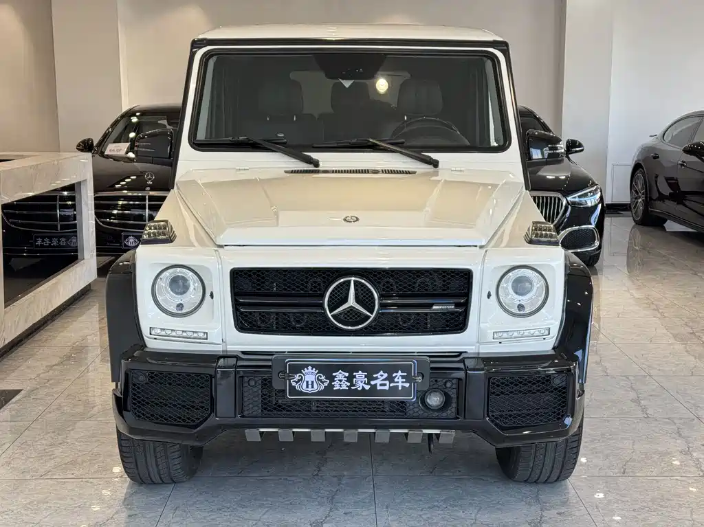 Mercedes-Benz G-Class G 2010 G 500