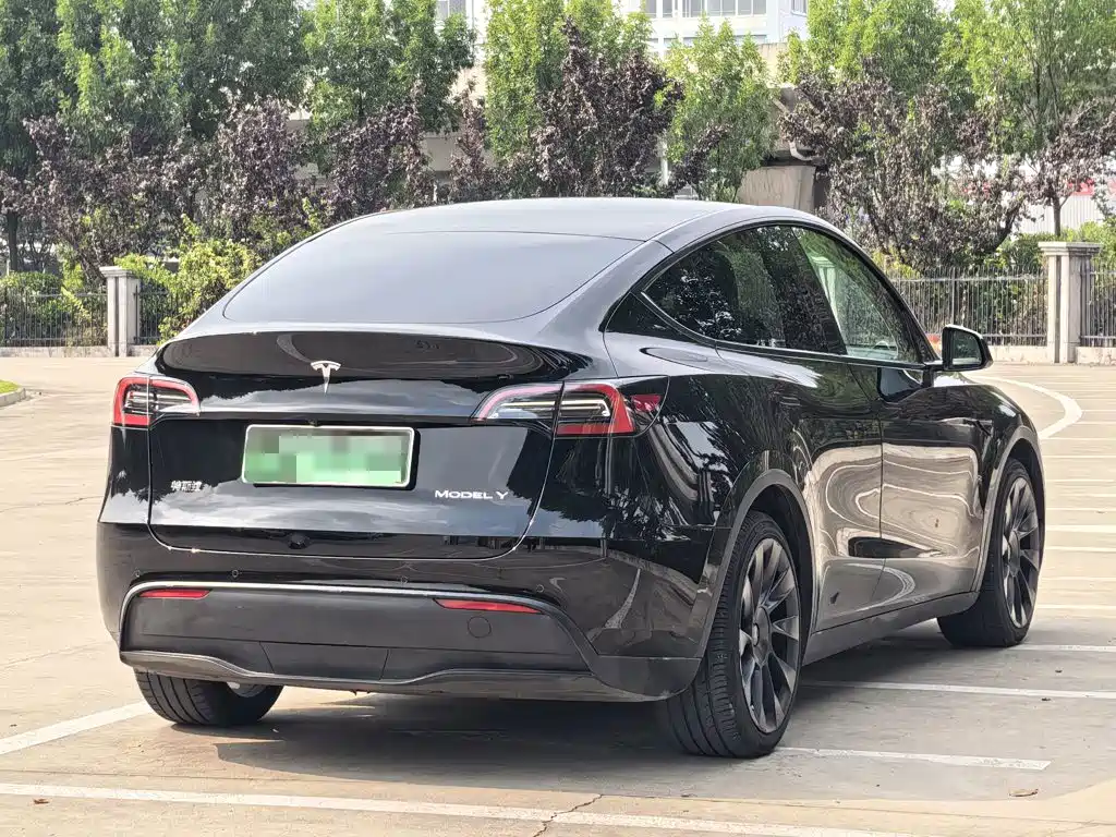 Tesla Model Y — миниатюра 4