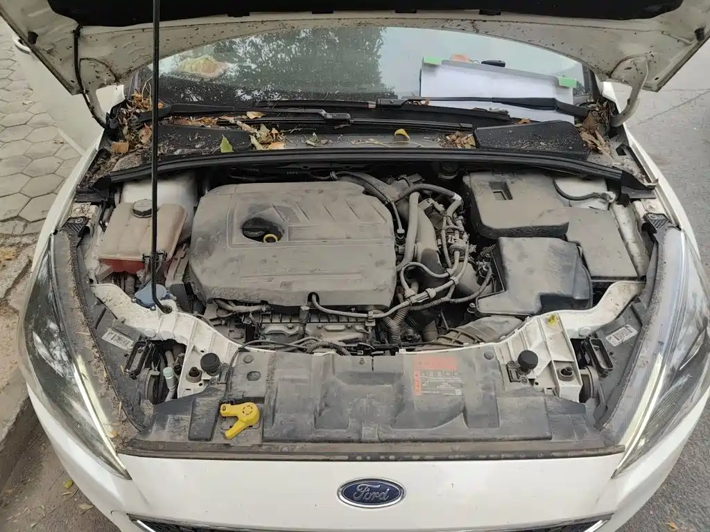 Ford Focus — миниатюра 11