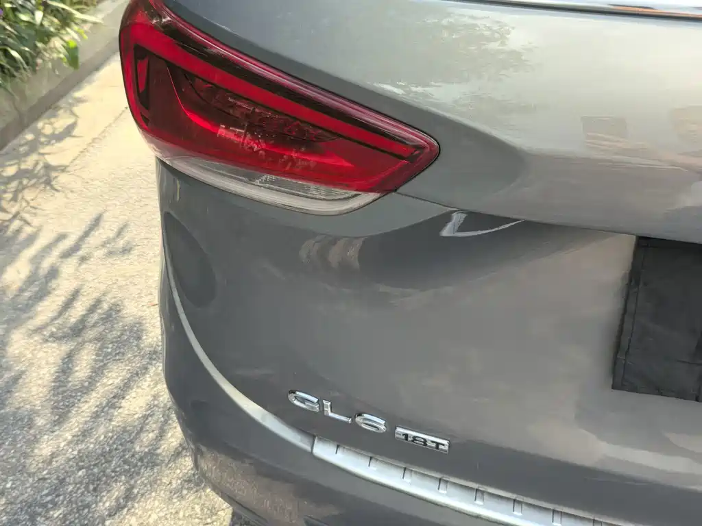 Buick GL6 — миниатюра 12