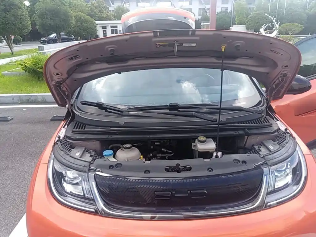 BYD Dolphin — миниатюра 20