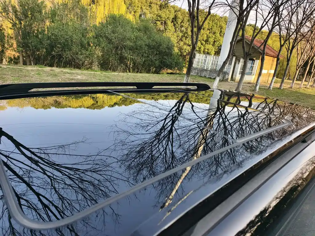 FANG CHENG BAO LEOPARD 5