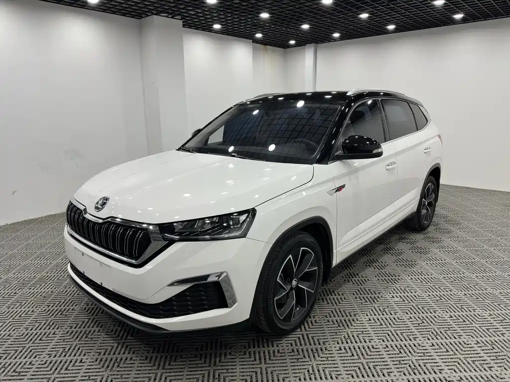 Skoda Kamiq — миниатюра 3