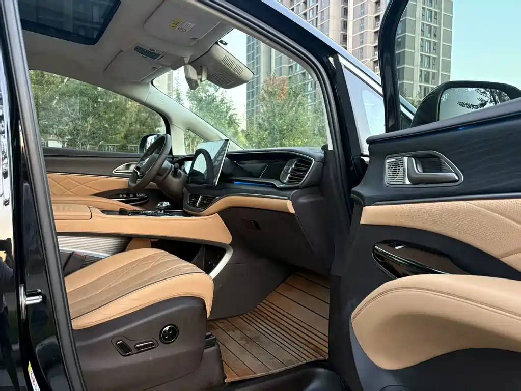 Denza Denza D9 — миниатюра 6