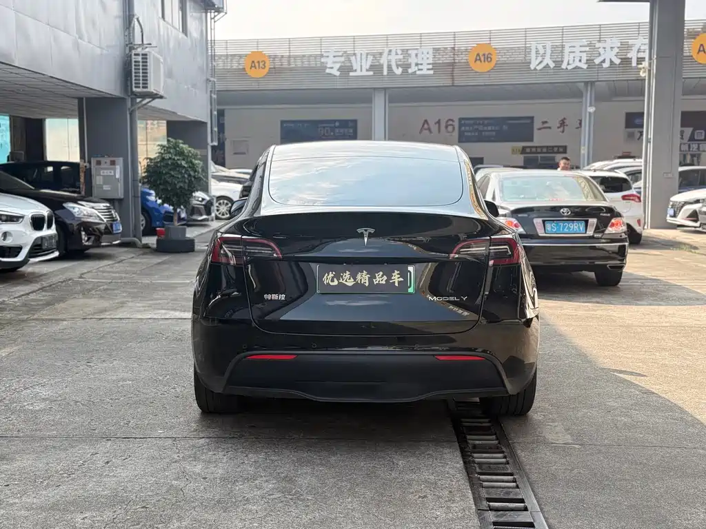 Tesla Model Y — миниатюра 13