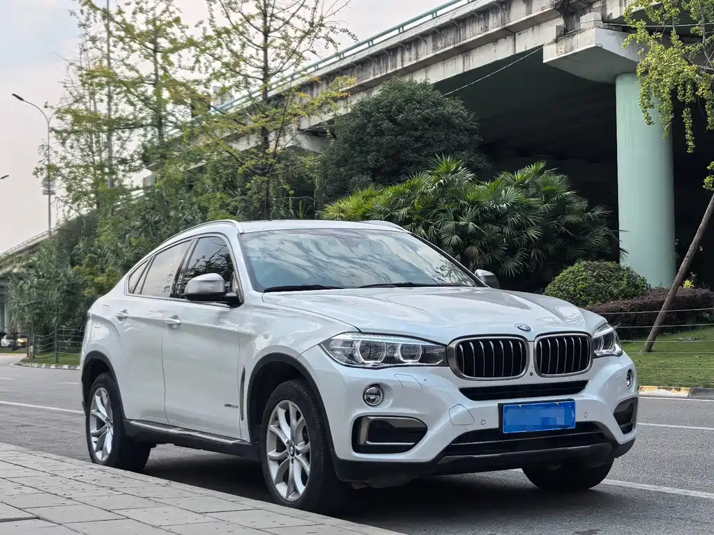 BMW X6 — миниатюра 3