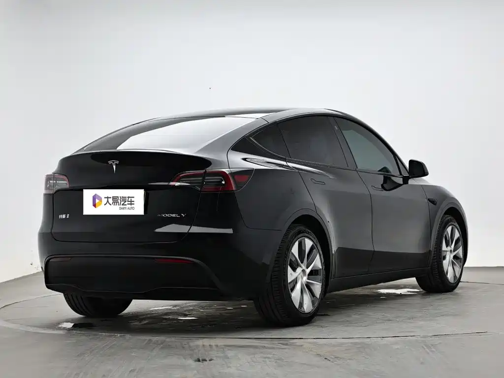 Tesla Model Y — миниатюра 3