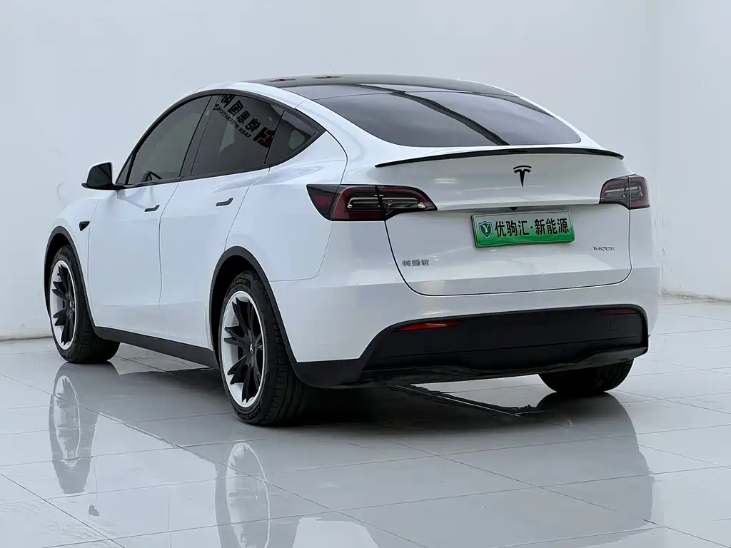 Tesla Model Y — миниатюра 5