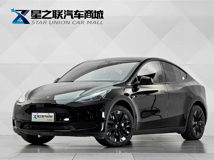 Tesla Model Y — миниатюра 2