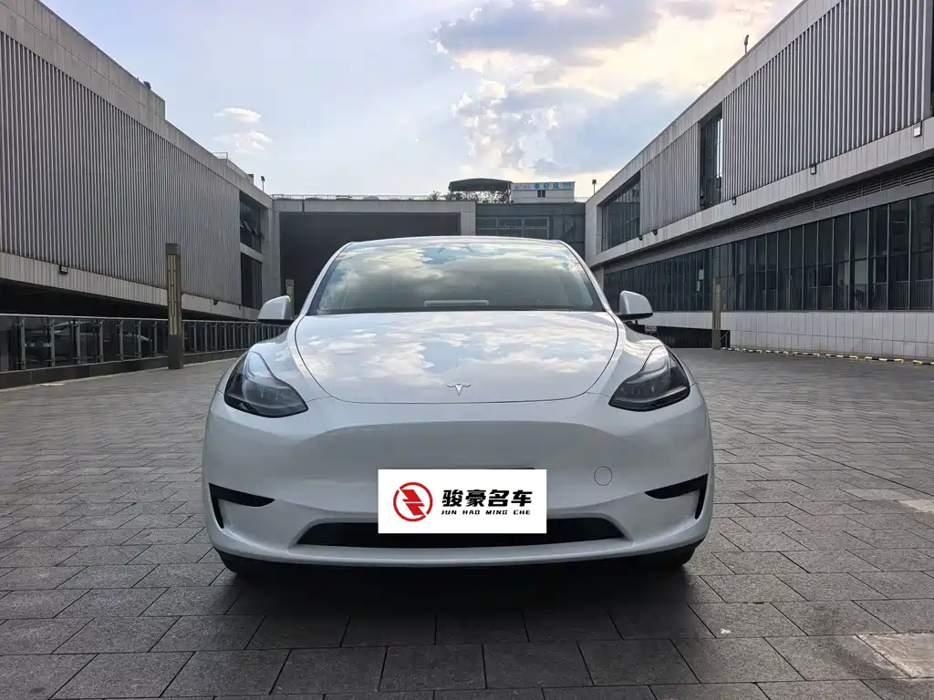 Tesla Model Y — миниатюра 3