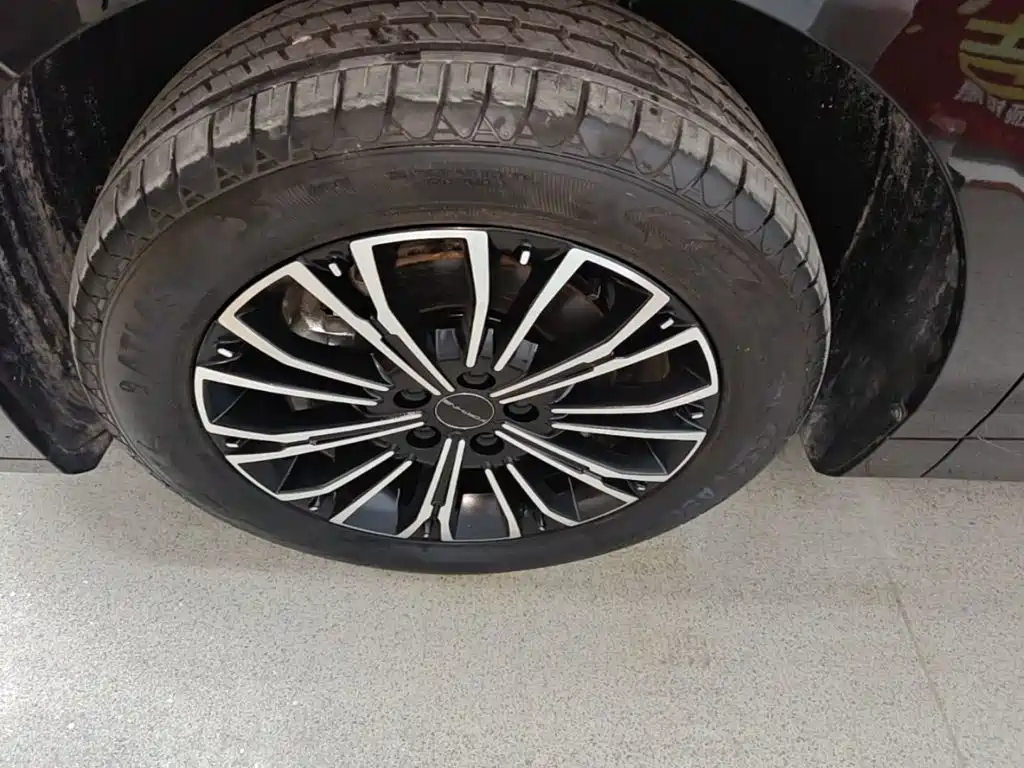 Fengxing Xinghai V9 — миниатюра 23