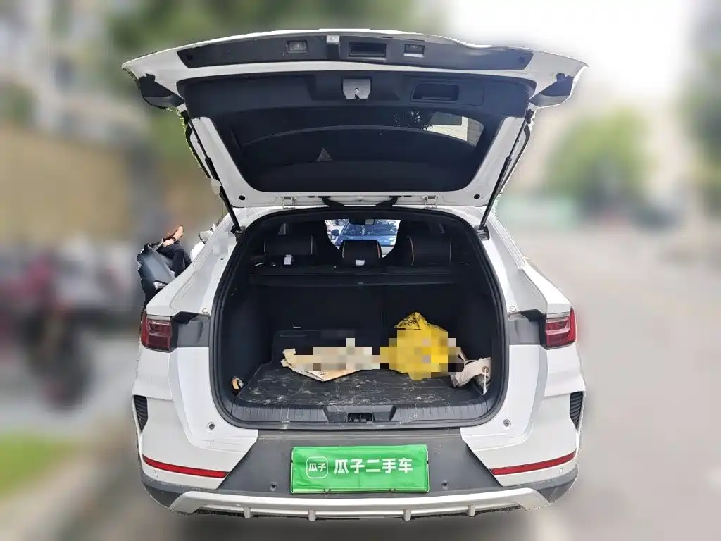 BYD PLUS New Energy — миниатюра 20