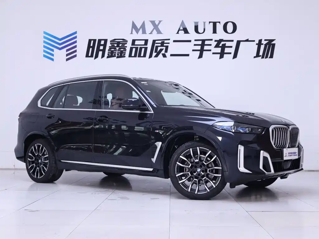 BMW X5 — миниатюра 5