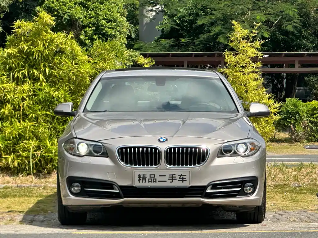 BMW 5 Series — миниатюра 2