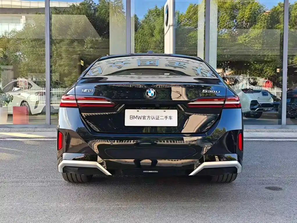 BMW 5 Series — миниатюра 5